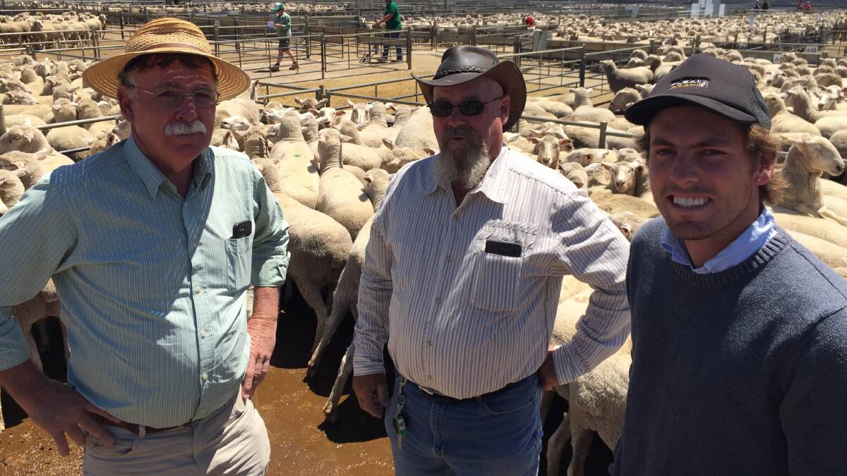 Father and son Malcolm and Gregor Knight, ‘Golden Wattle’, Quambatook, with buyer Chris Hibbins, ‘S&D Investment Holdings’, Maryborough (middle).