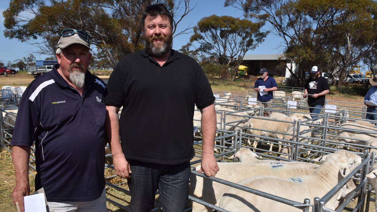 TDC agent Steven Hill, Penola, SA, assisted Jarrad Simcock, Bool Lagoon, SA, in buying 10 Gamadale Australian White rams.