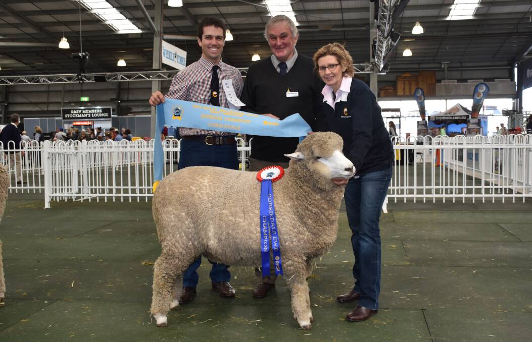 Some of the winners from the Royal Melbourne Show Sheep Competition, held on Saturday and Sunday at the Melbourne Showgrounds.
