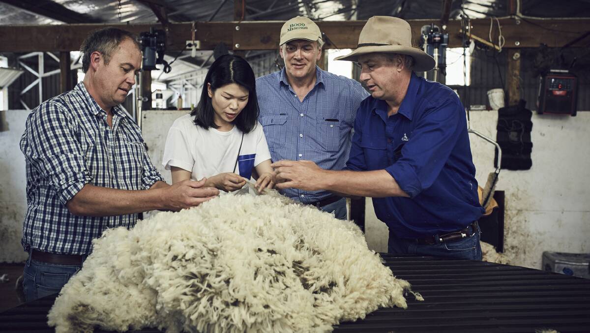 FARM TOUR: Australian Wool Innovation general manager of the eastern hemisphere John Roberts, designer Lu Yan, property owner Alasdair MacLeod and manager Matt Crozier, inspect wool on the Yass, NSW, property. Photo: AWI.