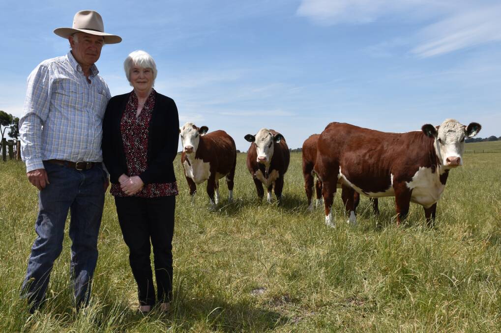 Jan and Geoff Coghill run about 100 Poll Herefords on their 80 hectare property in Moorooduc.