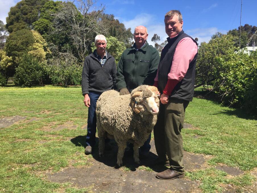 TOP RAM: Ian Plush, Kerrsville Merino stud, with top-priced buyer Russell Duncan, Waratah, and Elders Hamilton district wool manager Andrew Howells.