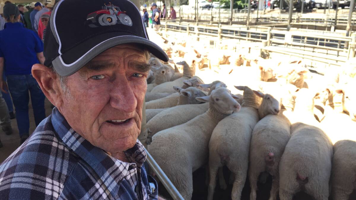 Tom Dutton, Elmore, sold the market top of lambs at $280/head, for a pen of 143.