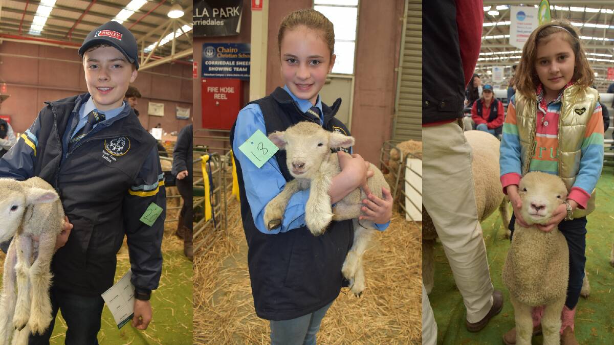 13 cute kids with lambs and sheep spotted at the ASWS