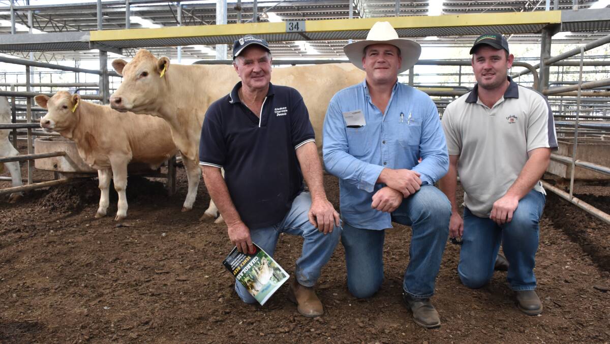 TOP-PRICED COW: Dennis and Sam Taylor, Allednaw Charolais, Kerang, and buyer Roderick Binny (middle), Glenlea Charolais, Dorrigo, NSW, with the top-priced cow and calf.