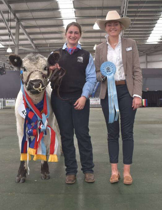 Megan Tung, Karandrea Galloway and Belted Galloway stud, Binginwarri, leads the supreme Galloway. Pictured with judge Aimee Bolton, Bolton Girls Red Angus stud, Shepparton.