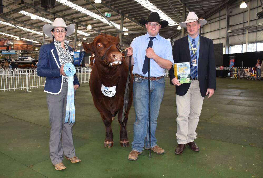 Some of the winners from the 2016 Royal Melbourne Show Beef Cattle Competition.