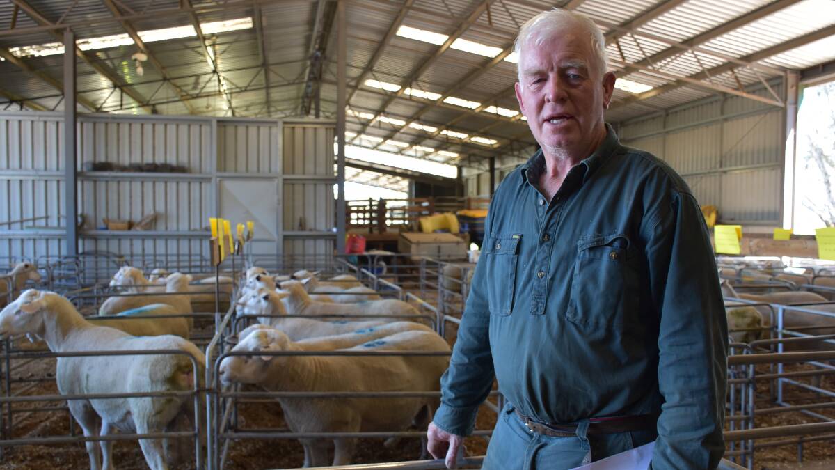 John Northcott, ‘Avonhurst’, Merino, is a return buyer who bought six rams.