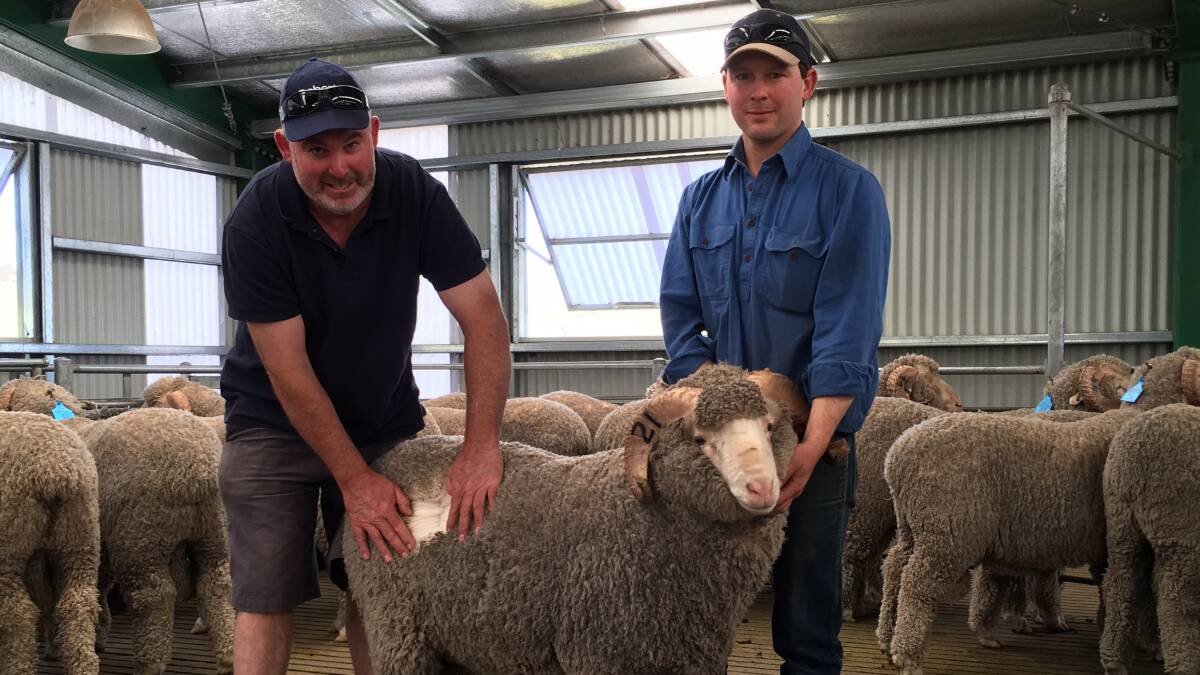TOP MERINO: Top-priced buyer Stuart Madsen, ‘Banwell Pastoral’, Triabunna, Tas, with Sorell Springs co-principal Henric Nicholas, at the stud's joint ram sale.