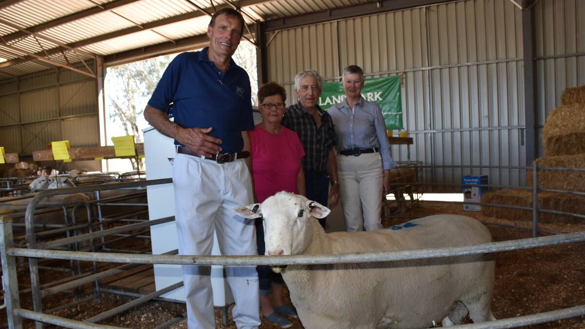 Wakefield Park White Suffolk stud principals Gary and Marlene Wake, with top-priced buyers Bett and Michael Egan, ‘Pearl Ridge’, Tarrayoukyan (middle), and the top-priced ram.