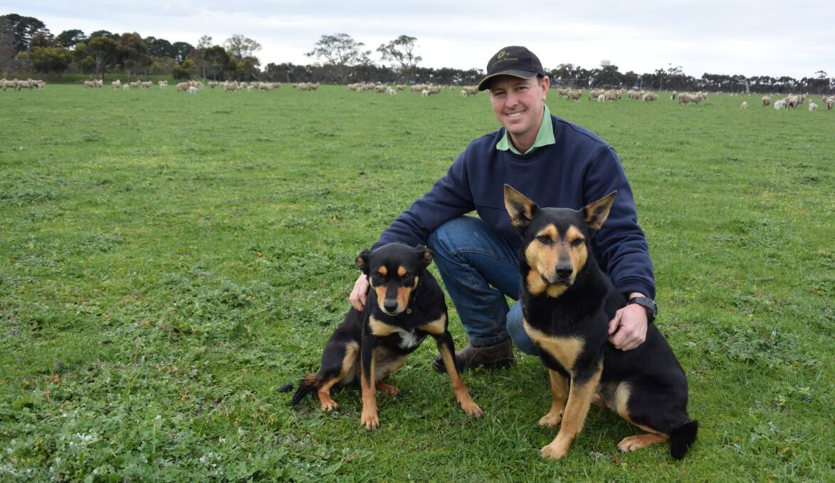 Scott Norton with two of his four kelpies, on the 1200-hectare property he manages in Shelford.