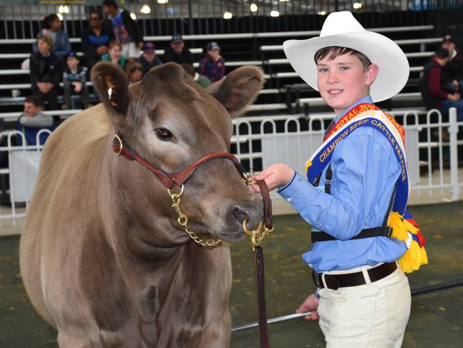 YOUNG STAR: Hamish Maclure, Tarcutta, NSW, won this year's Stud Beef Victoria Handlers Competition at the Royal Melbourne Show. Photos: Joely Mitchell.