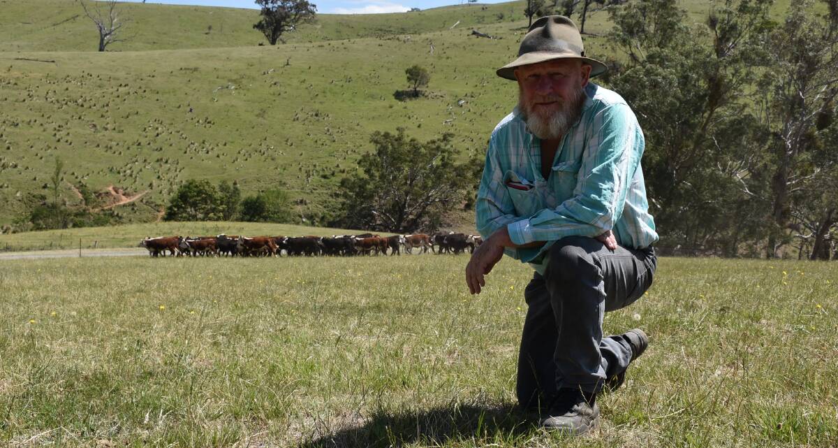 The grass may be green on Peter Fraser's Ensay property, but it's taken a lot of hard work to get it through the dry year.