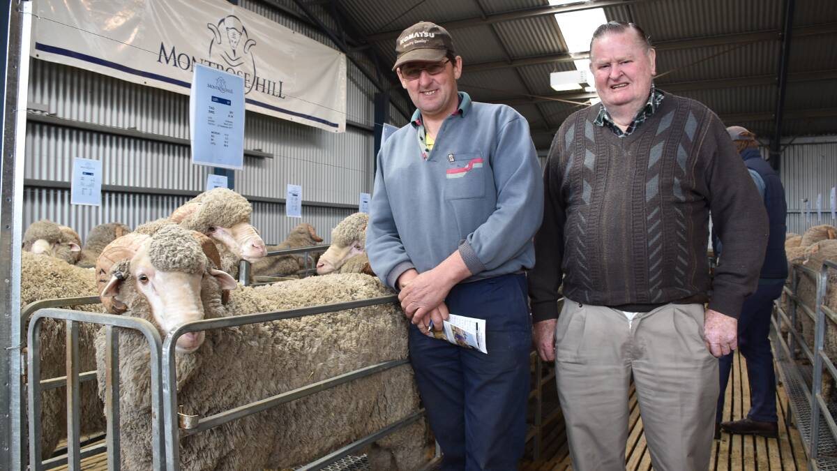 Ian and Rex Crick, Chute, bought two rams at the sale.