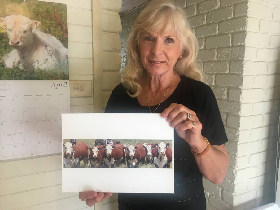 Ms Rees is putting together an oil painting of a photo taken by Stock & Land, of cattle owned by Jan and Geoff Coghill, Ke Warra Poll Herefords, Moorooduc.