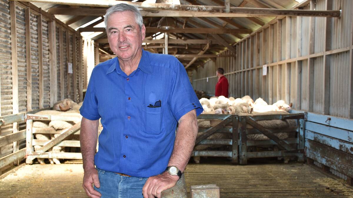 Peter Young, ‘Eulong’, Cavendish, bought the second top-priced ram.