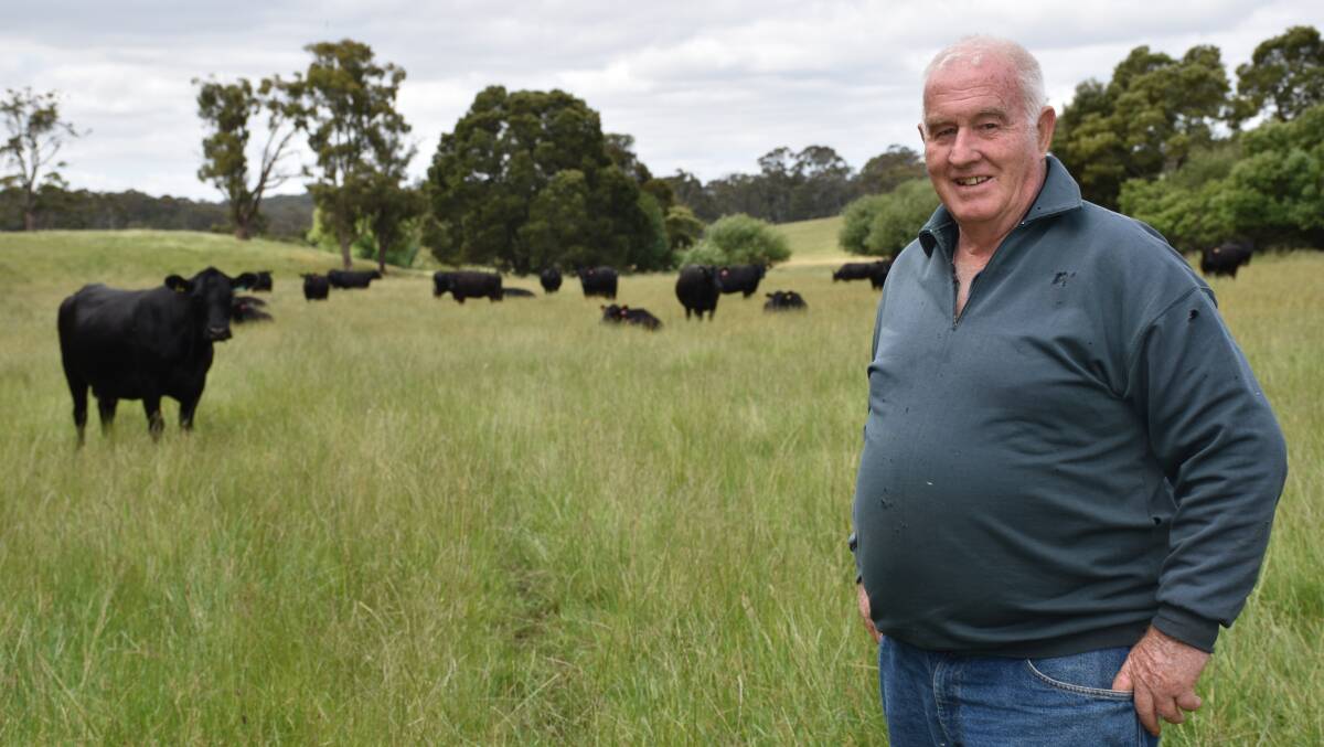 The Mobbs family run about 400 Angus cattle on 600 hectares in Daylesford.