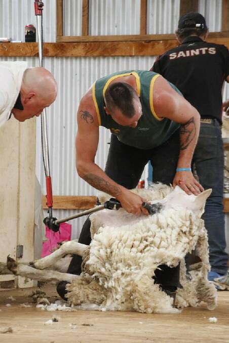 SHEARER TRAINING: Training has been funded for 125 enrolments for three accredited shearing qualifications across eight regional locations. 