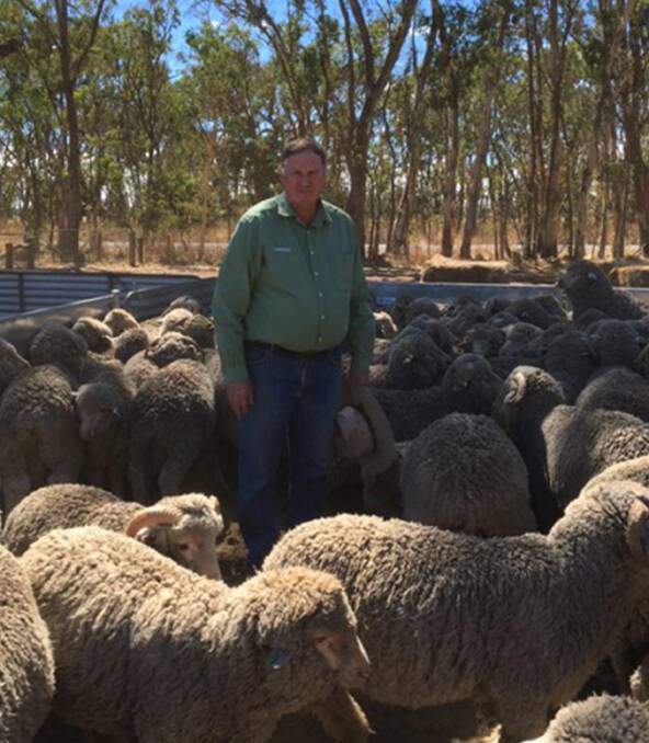 Stephen Chalmers, Landmark, will present a workshop on the importance of visual sheep classing at the upcoming Loddon Valley Stud Merinos Field Day.