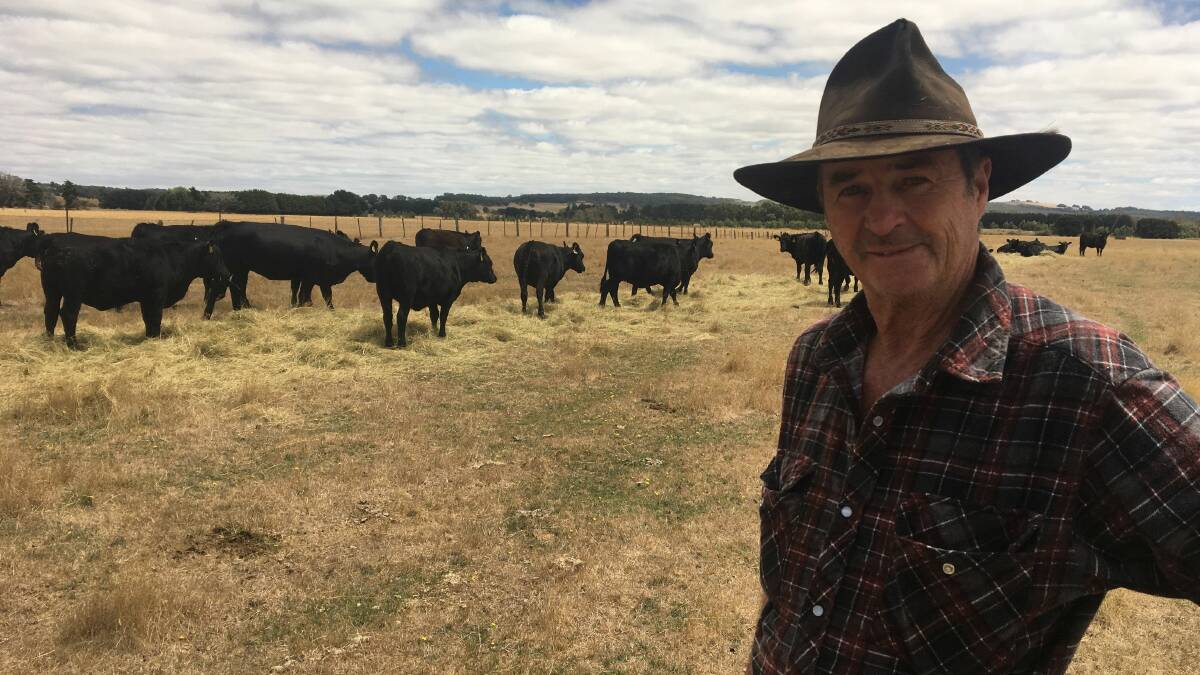 Mick Mullane, Ballan, with his Angus heifers destined for China as part of Landmark International’s latest live export order.