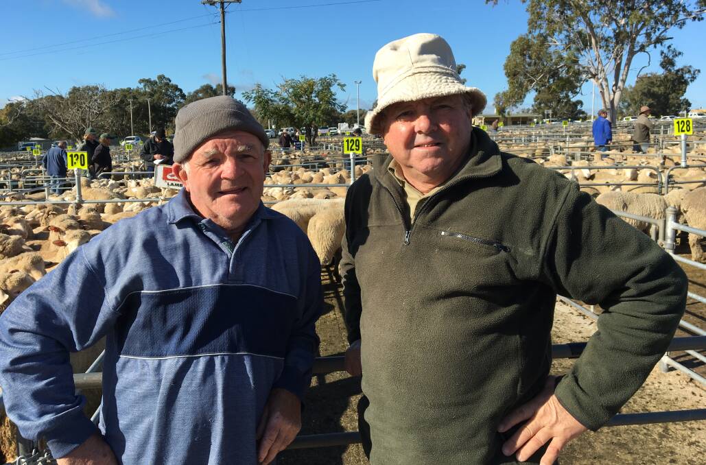 MARKET TALK: Discussing market trends at Corowa on Monday were local farmers Mick Seymour and Len Reynoldson. Numbers at Corowa decreased. Some excellent lambs were presented as prices eased. 