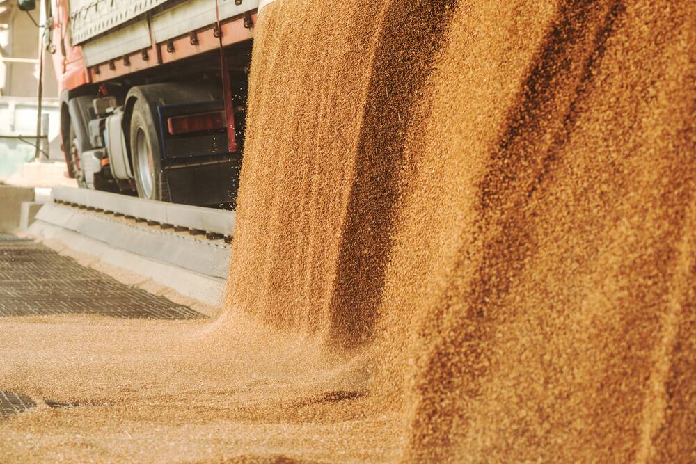 DOMINATING: Russia has become the king of the world wheat market, with projected exports of 32.5 million tonnes. The total crop is estimated at 82 mill t, up 9.47 mill t.