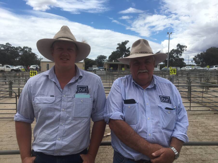 MARKET DAY: Zac Weidner and Peter Ellis from Brian Unthank Real Estate discuss the sheep and lamb market at Corowa. Lamb numbers increased and quality was mixed on Monday, while new season lambs were well supplied. 