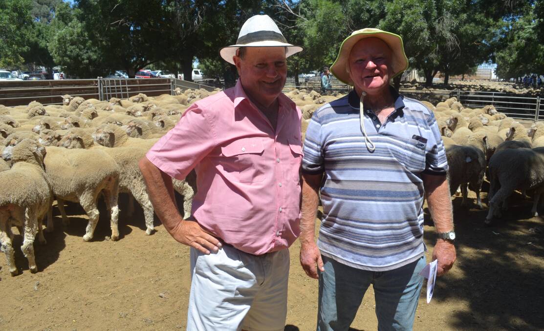 BUY UP: Elders Bendigo's Graeme Miller, with client Charlie Hocking from Tandara, Bendigo, at the Deniliquin sheep sale where they paid $278 for 276 Emu Park Merino ewes 2015 drop scanned in lamb to White Suffolks.