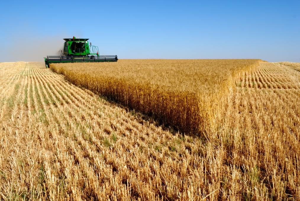 WATCH: Malcolm Bartholomaeus believes that US crops will likely be bigger this year, slowing the pace of stocks decline and leaving the US market oversupplied. 