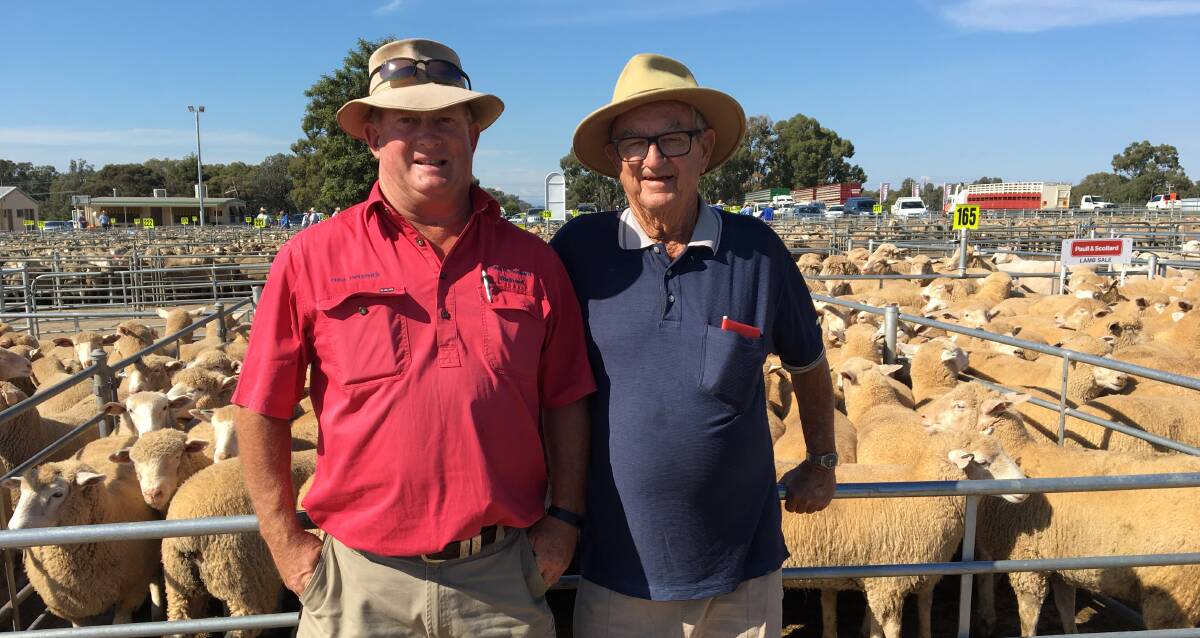 SOLD: Richard Wynne from Paull & Scollard with Corowa's Len Wilson, who sold 64 shorn lambs for $151.60. Lamb numbers increased in a good quality yarding, with some excellent extra heavy lambs and large lines of Merino lambs. 