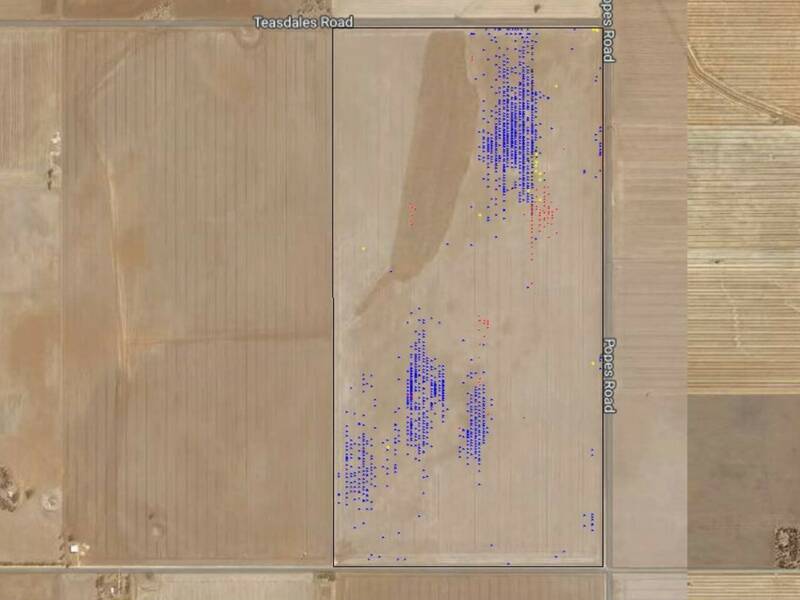 PROGRESS: Mayo Park Farms worked to identify problem weed areas with the help of a weed map that was produced during last year's harvest.