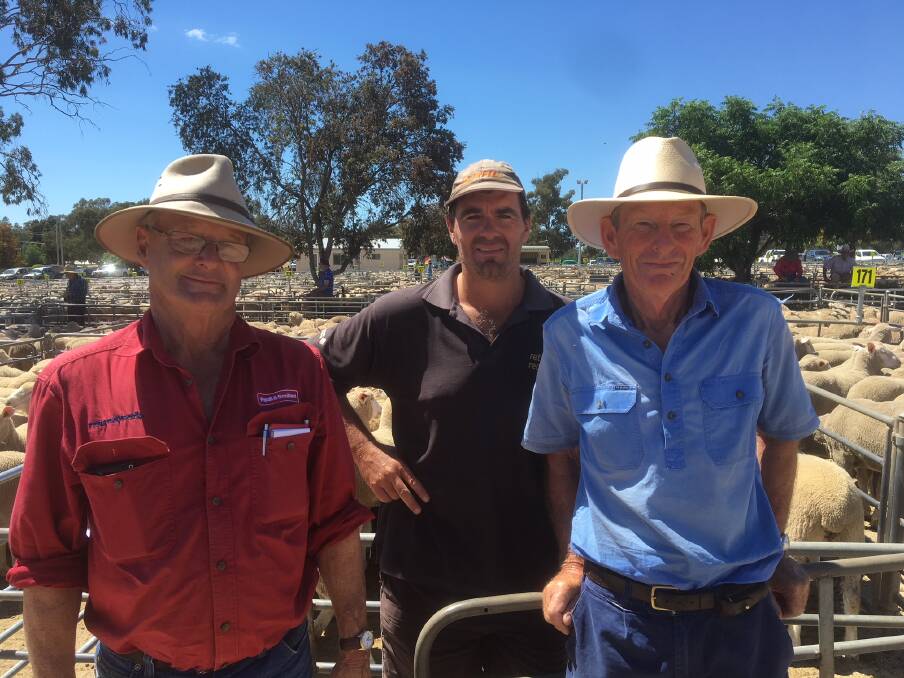 MARKET DAY: Sam McCulloch from Paull & Scollard with Ashley Lindner and Richard Molesworth from Stony Park West, Burrumbuttock who sold 270 Merino wethers to a top of $133.00 at Corowa on Monday. 