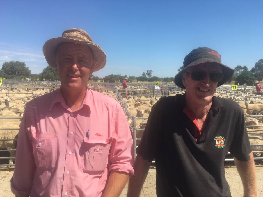 TO MARKET: Trent Head from Elders Yarrawonga with Lake Rowan producer Mick Griffin, who sold 97 lambs for $206.00 at Corowa on Monday. Lamb numbers there lifted slightly, with a good quality yarding.