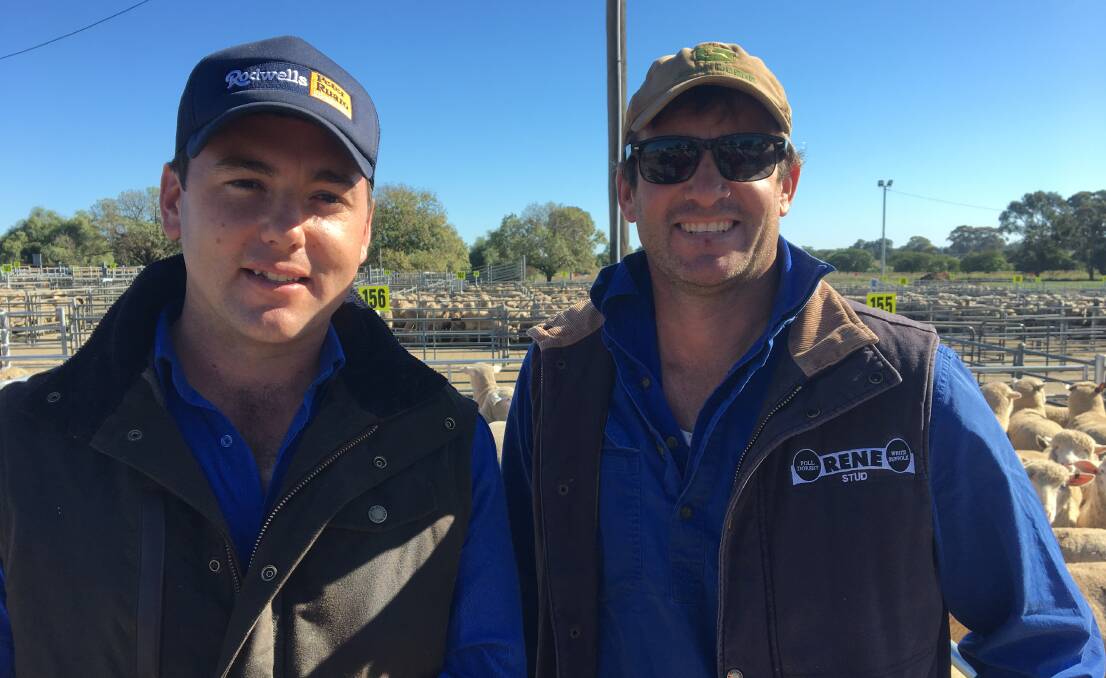 MARKET DAY:  Murray Bullen from Rodwells Albury with Scott Mitchell from Culcain who sold 51 heavy shorn lambs for $196.20 at Corowa. Lamb numbers there decreased in a very good quality yarding. 