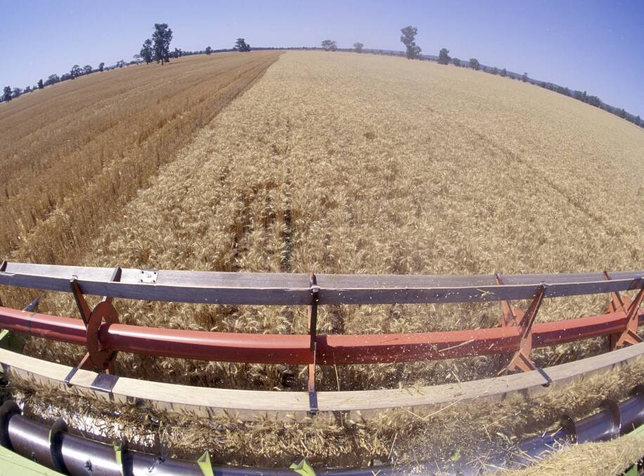 TOUGH MARKET: A bumper harvest has protected some Australian wheat farmers from bearing the full brunt of low prices and high production costs. 