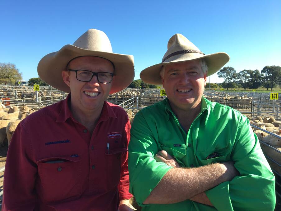 SOLD: Tim Robinson from Paull & Scollard Albury with Tallangatta producer Mac Fraser, who sold 600 Merino wether lambs at Corowa to a top of $116.20. 