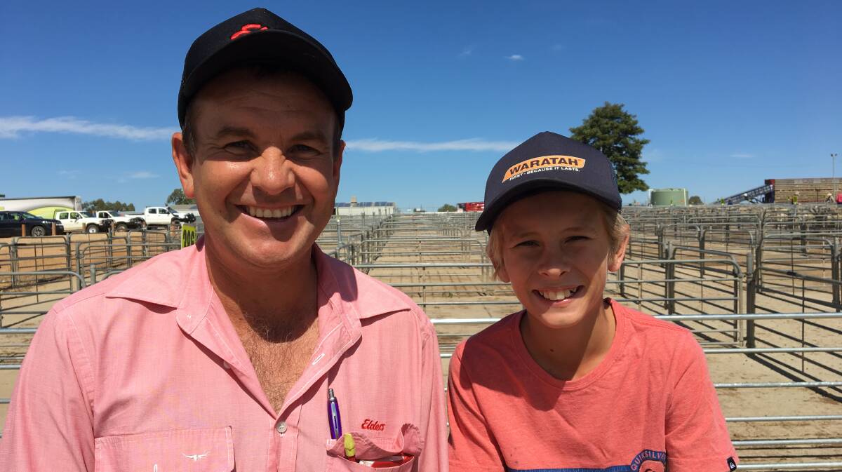 STARTING YOUNG: Scott Parker from Elders with his son Mitchell, who sold shorn lambs for $160.00 at Corowa on Monday. Lamb numbers there increased in a very good quality yarding of mostly trade weights. 