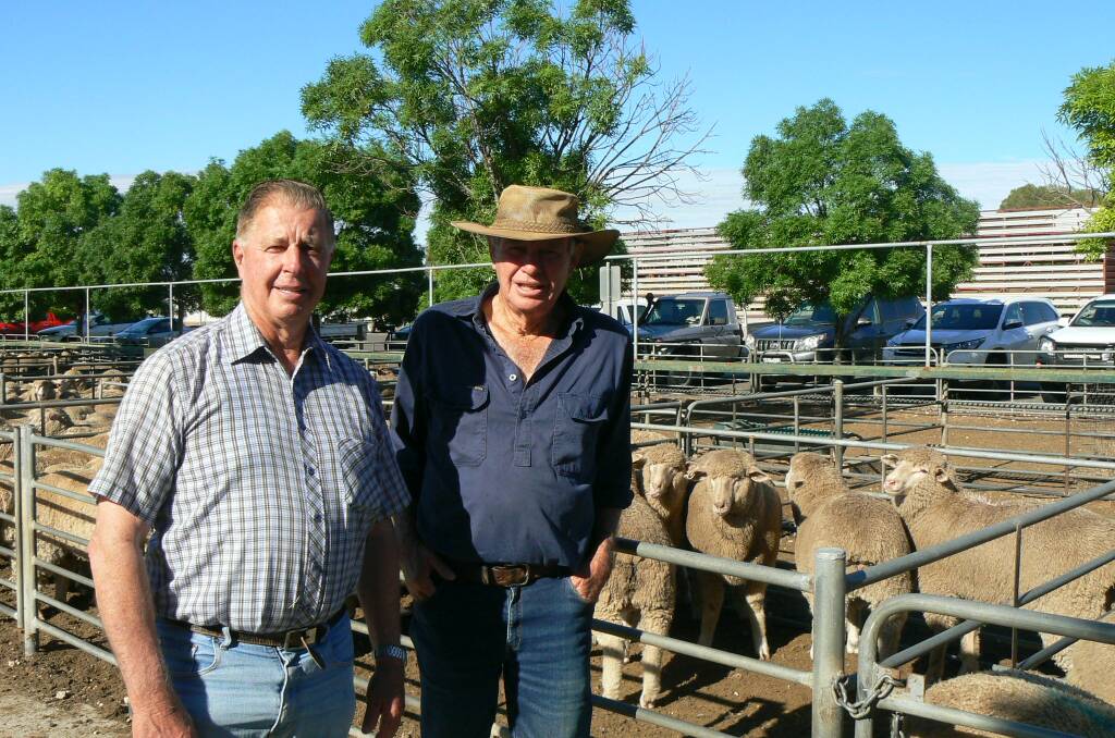 MARKET DAY: Keith Erhardt of Galah and Ian Marshall of Ouyen attended this week's Ouyen sale. Marshall had first pen for Landmark, fetching $176. 