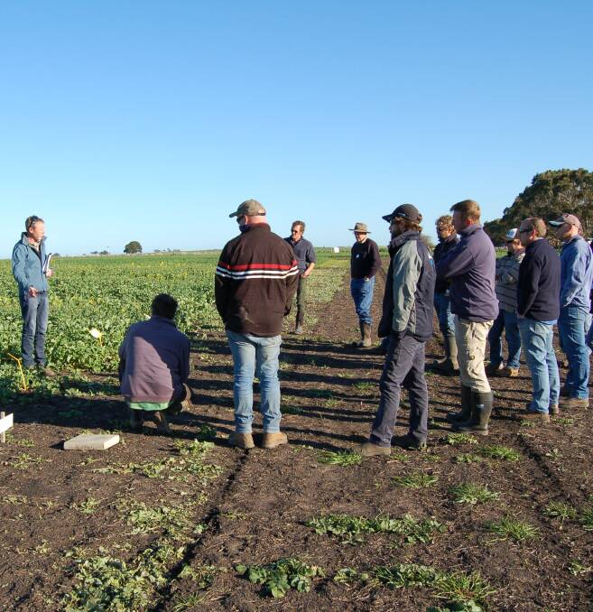 TOUR: Marcroft Grains Pathology's Dr Steve Marcroft and producers discuss blackleg in canola during an SFS field walk at Lake Linlithgow, near Hamilton. 