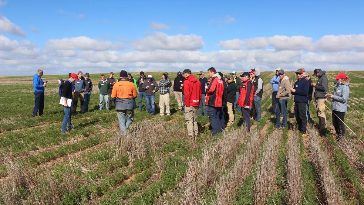 FORWARD PLANNING: BCG’s Claire Browne in July discussing with growers the issues that occurred due to large stubble loads. 