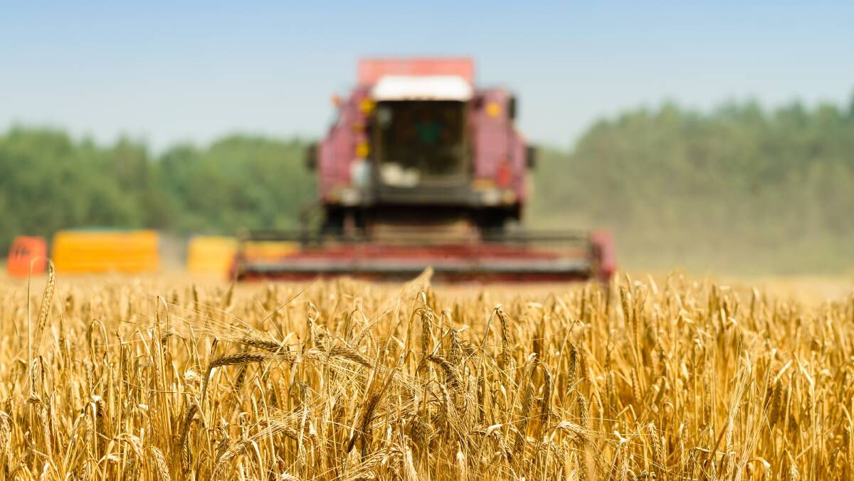 MOVES: Malcolm Bartholomaeus says current prices are too low compared to where they should be against global wheat stocks. Picture: Smspsy/Shutterstock.com