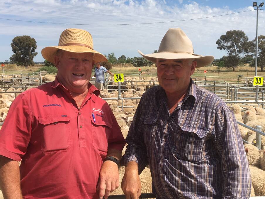 SOLD: Richard Wynne from Paull & Scollard Corowa with Boorhaman's Pat Fogarty, who sold 55 new season lambs for $187.20 at Corowa. Lamb numbers there lifted and quality was mixed. Heavy lambs were in good numbers.