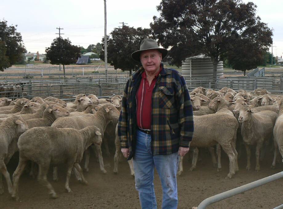 TO MARKET: Greg Brown with his five-year-old Lines bloodline wethers, ex Lameroo, fetching $203 at Ouyen. Lambs were up $5-$8, while mutton was up to $10 dearer. 
