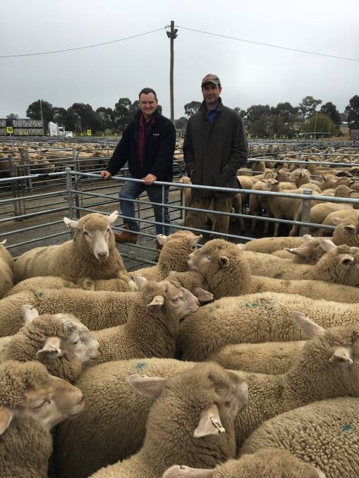 TO MARKET: James McLaurin from Rand with Culcairn producer Clint Dunn, who sold 102 new season lambs for $158 at Corowa. Lamb numbers there increased on Monday, and quality was rated as good. 