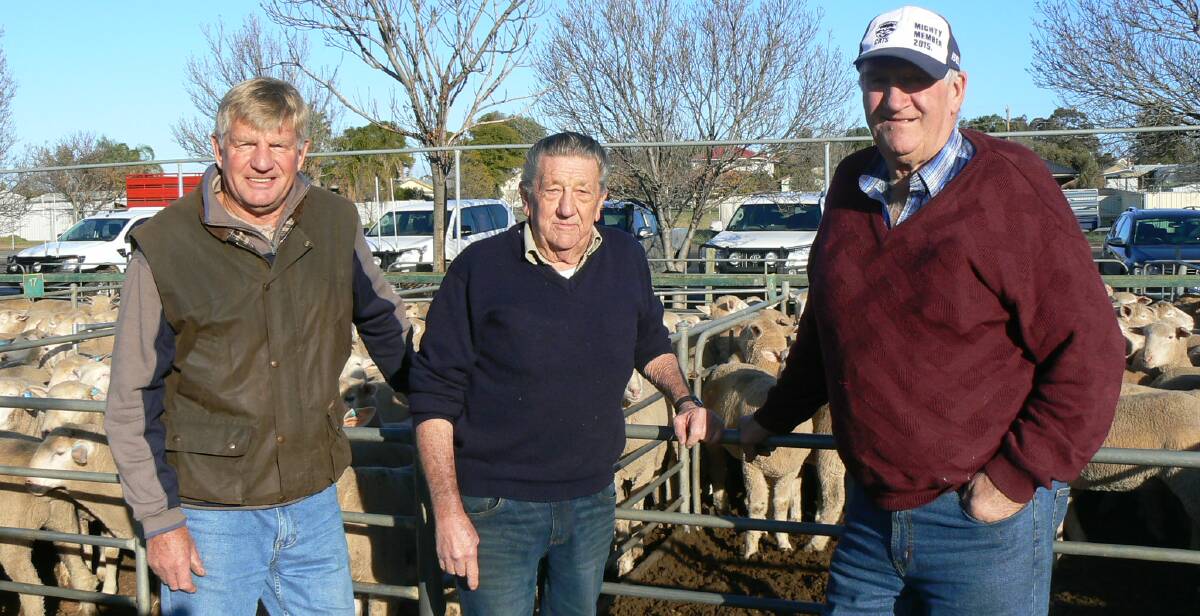 MARKET: Ron Mengler, Barry Mottram and Eric Yates at Ouyen Livestock Exchange, where quality export lambs sold firm to $6 dearer. 