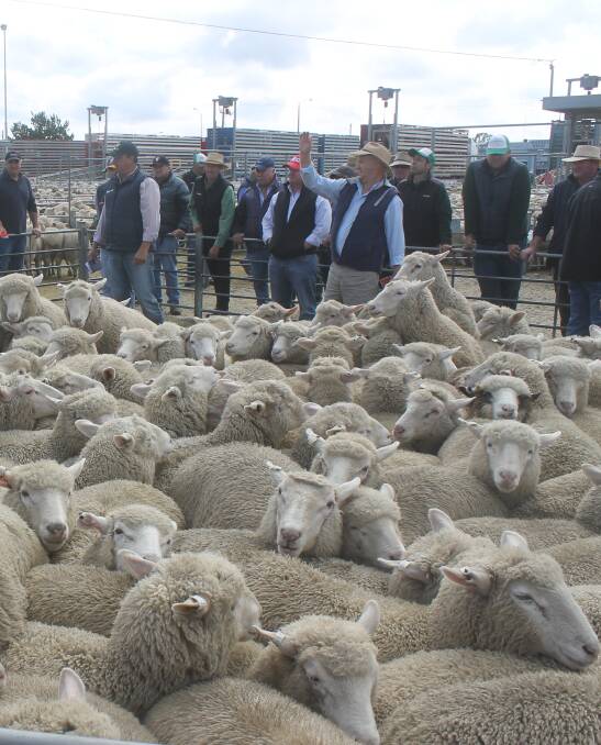 BIG DAY: Landmark auctioneer Xavier Shanahan describe the Ballarat results as "brilliant". Every class of lamb sold brilliantly "and the heavier the lamb the better".