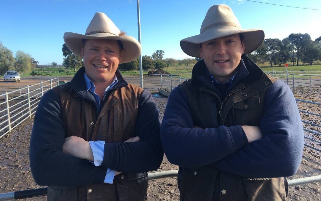 GOING UP: Ryan Hussey from Rodwells Wangaratta and Murray Bullen of Rodwells Albury discussed the dearer market trend at Corowa on Monday. Lamb numbers were back, with 50-60mm of rain in the supply area. 