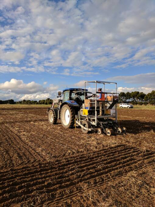 TESTING: SFS's first trials have gone into the ground at Inverleigh. The SFS team has sown canola and wheat variety trials as the annual program gets under way.