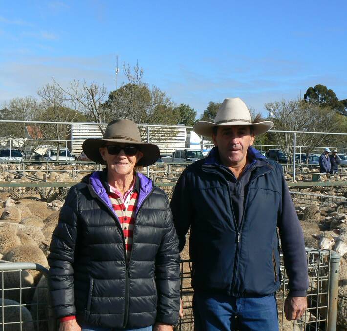 BIG DAY: Craig and Angela Gadsden, of Carawatha Station, Euston, had a total of 420 suckers and merino ewes for sale at last Thursday's Ouyen market. 