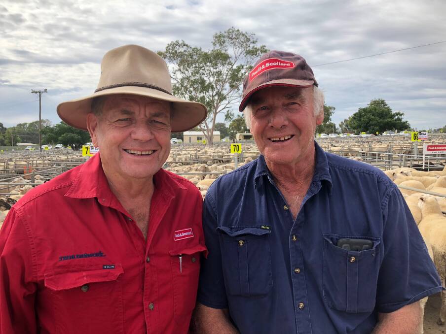 TO MARKET: Steve Paull of Paull & Scollard Albury with Ken Thomas from Walla Walla, who sold 79 shorn lambs for $215.20 at Corowa. Lamb numbers there eased on Monday, while quality was a little mixed. 